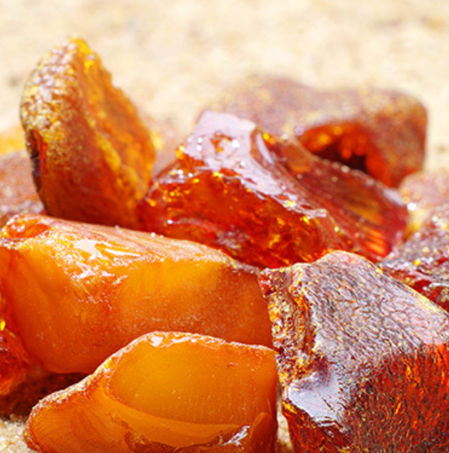Amber + Musk Wax Melt