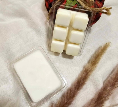 Alien Type Wax Melt