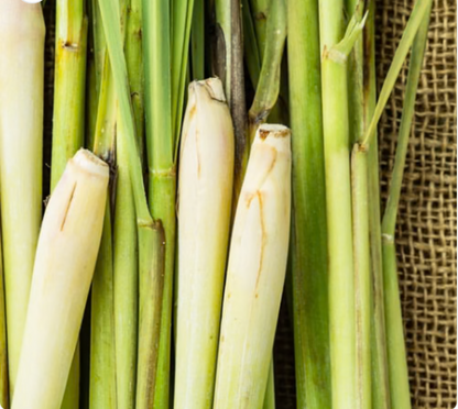 Lemongrass Room Spray