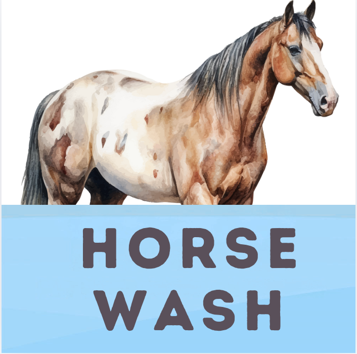 Horse Wash